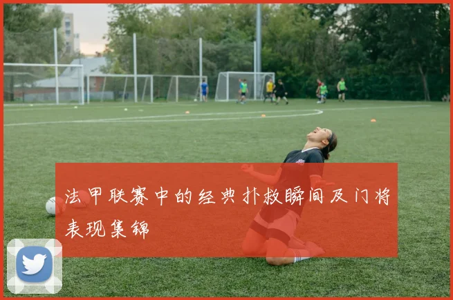 法甲联赛中的经典扑救瞬间及门将表现集锦