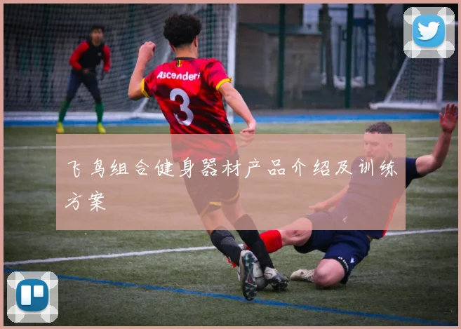 飞鸟组合健身器材产品介绍及训练方案